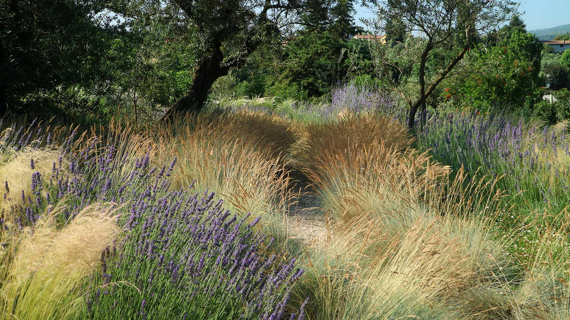 Progettazione & Realizzazione Giardini | Stefano Assogna