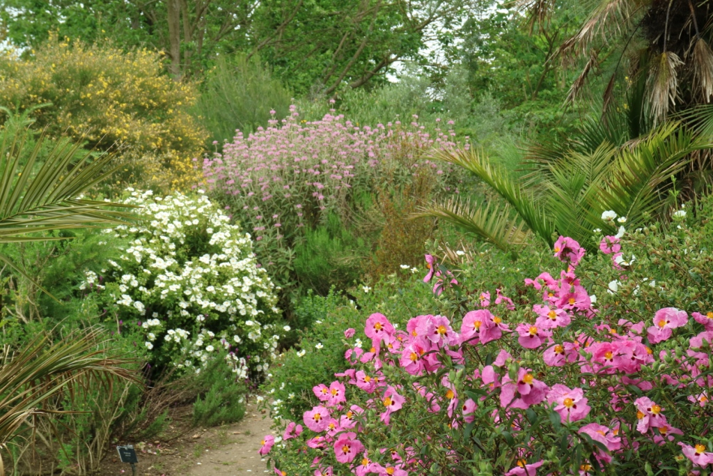 10 regole per un giardino di successo
