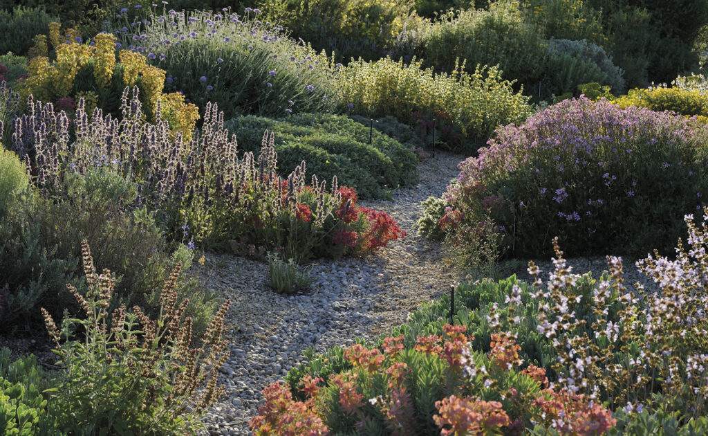 Giardino Mediterraneo