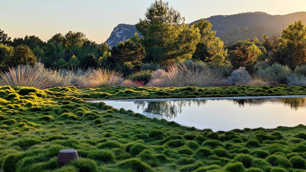 Ibiza Mediterranean Garden