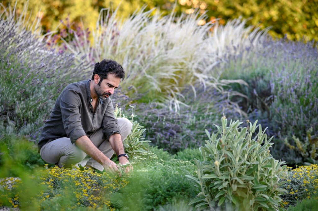 Progettare un giardino: Il Processo | Garden Desginer