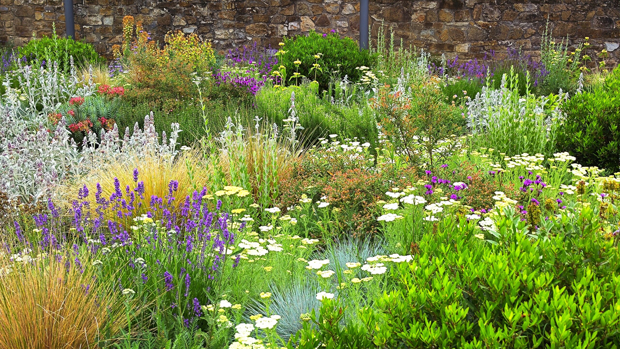 Mediterranean Planting Design