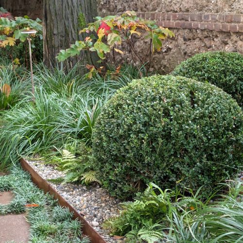 Stefano Assogna Garden Designer Monza 5