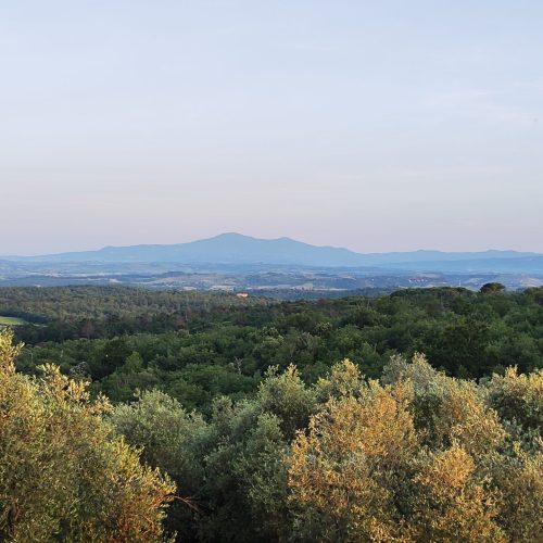 Garden in Chianti
